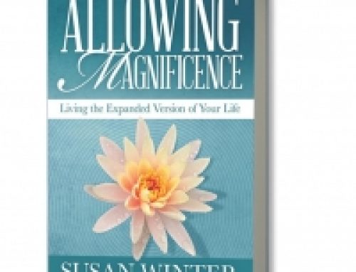 Susan Winter Interview – How To Live The Life You Desire?